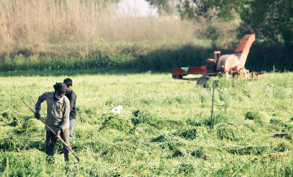 people working in land