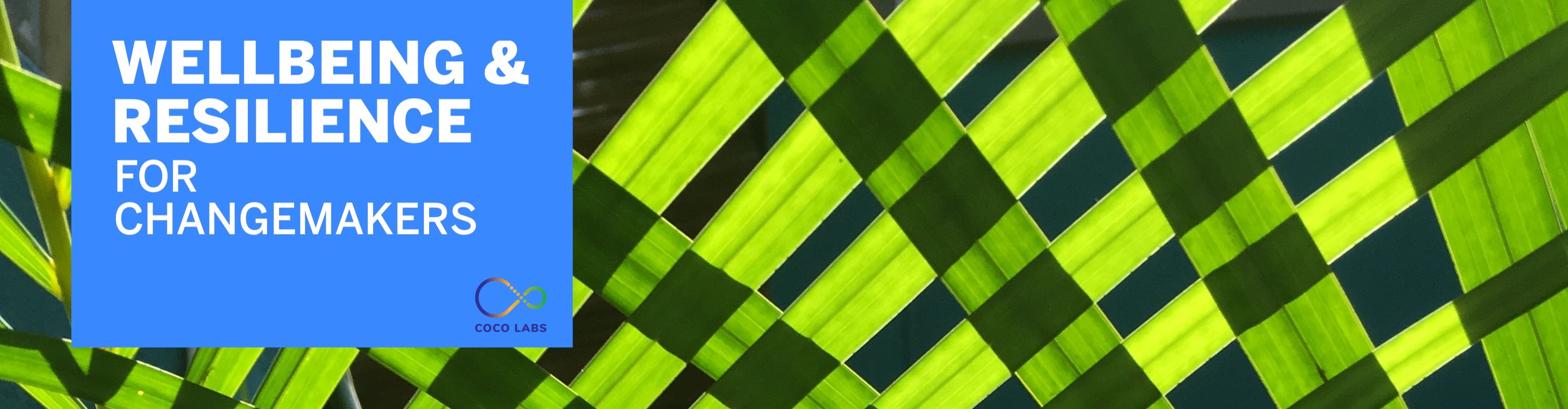 cocolabs banner
