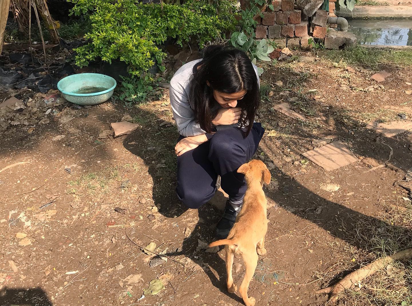 15-year-old Chandani Grover at an after-school feeding drive at a plant nursery near her house. (Courtesy Chandani Grover)