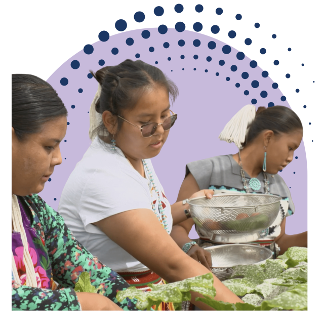 A graphic image with a cropped photo of three indigenous girls collecting produce into metal colanders. The image is cropped over graphic components, a large lavender circle and series of concentric dots.
